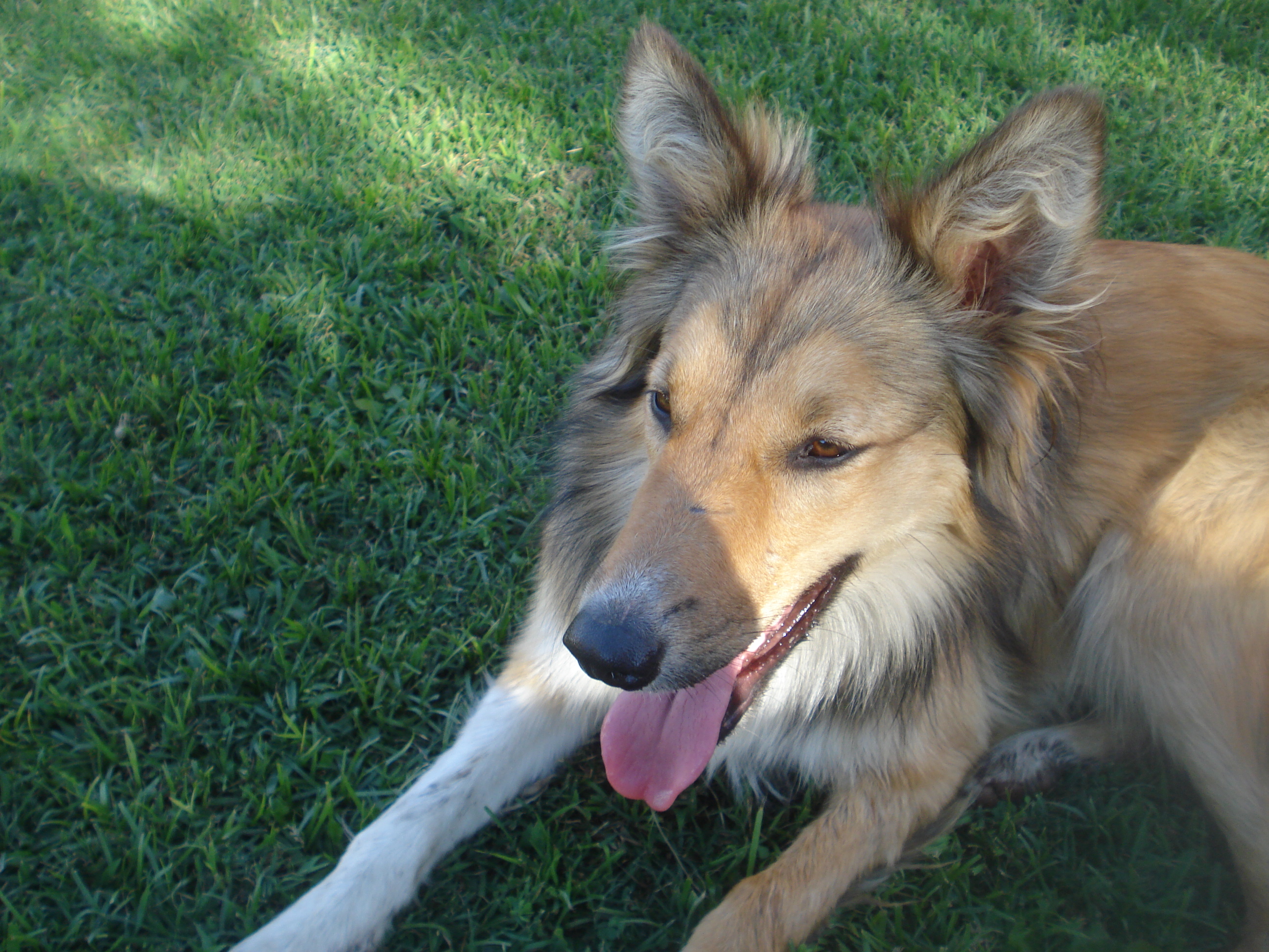 fotos/2012-12-24 - Navidad y pileta/DSC05043.JPG